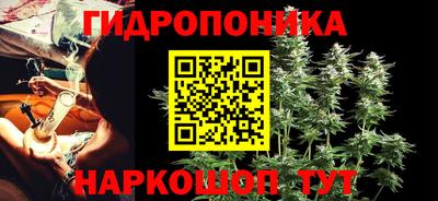 СК Пенза