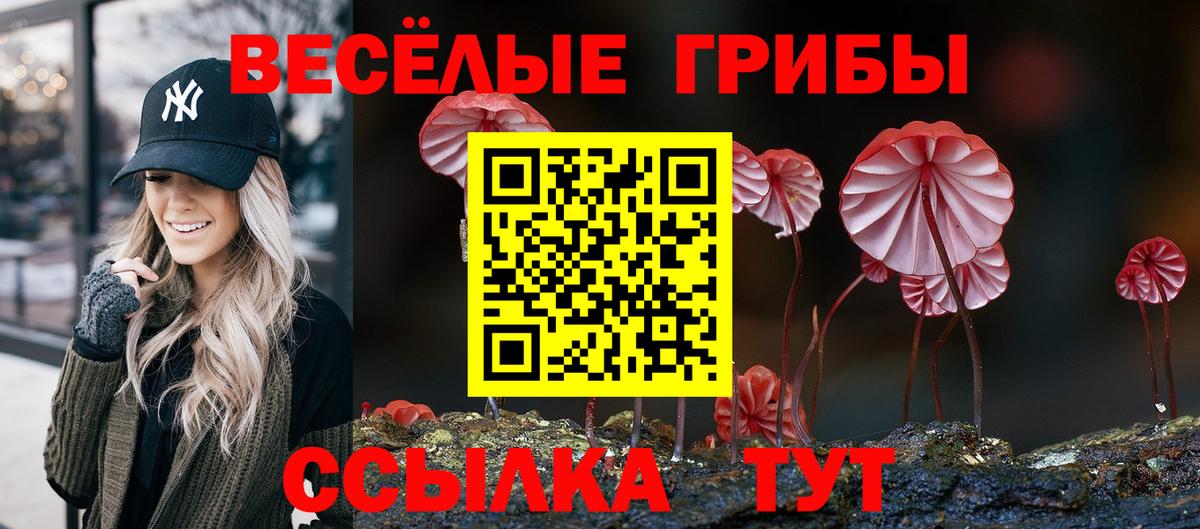 Псилоцибиновые грибы мухоморы  Псилоцибиновые грибы MAGIC MUSHROOMS  Тобольск  Вход с VPN 
